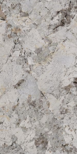 Bianco Fossile Naturale Granite