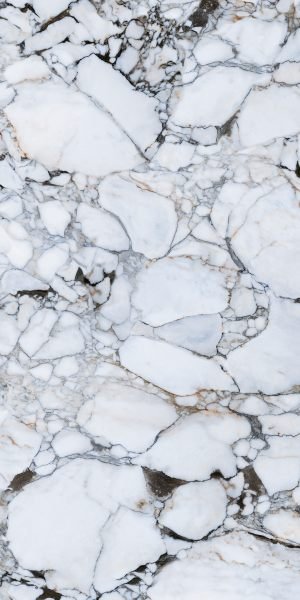 Calacatta Bianco Dorato Marble