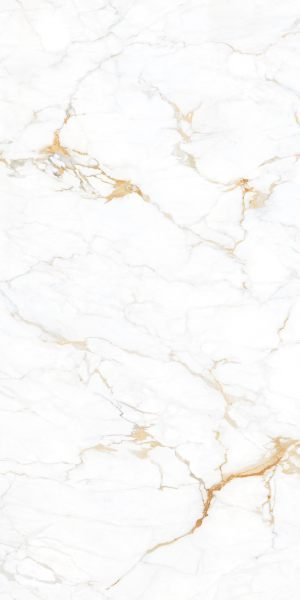 Calacatta Oro Venato Carrara