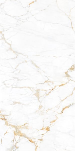Calacatta Oro Venato Carrara