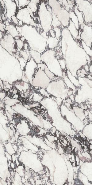 Calacatta Viola Prestige Marble