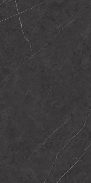 Nero Graphite Venato 