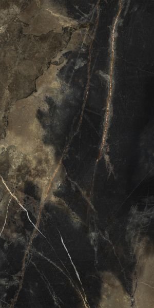 Nero Oro Selvaggio Marble