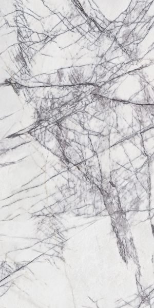 Statuario Venato Nero Marble